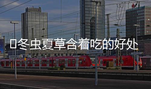冬虫夏草含着吃的好处