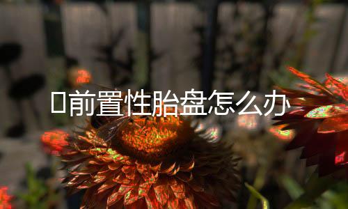 前置性胎盘怎么办