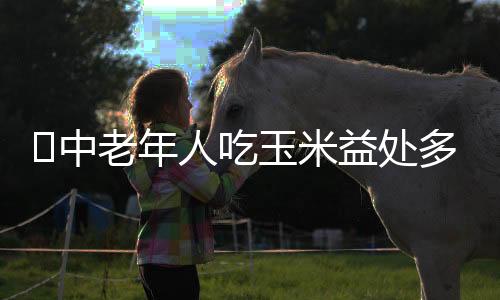 中老年人吃玉米益处多 玉米四功效大揭秘