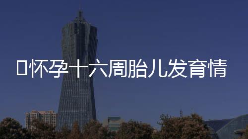 怀孕十六周胎儿发育情况