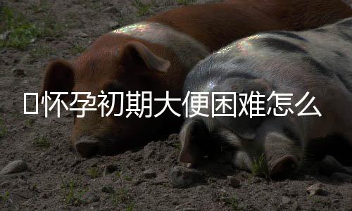 怀孕初期大便困难怎么办