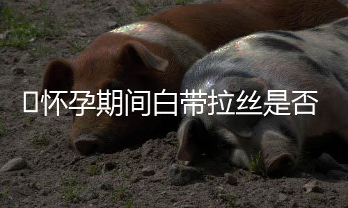 怀孕期间白带拉丝是否正常
