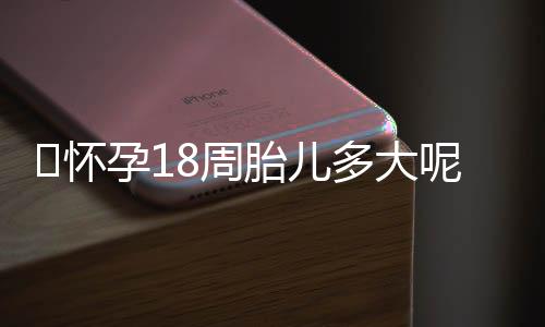 怀孕18周胎儿多大呢