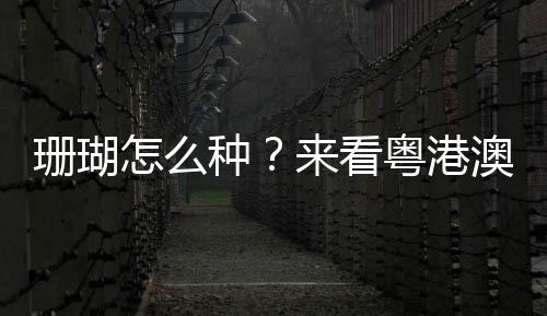 珊瑚怎么种?来看粤港澳摄影师的深海记录|全国珊瑚日