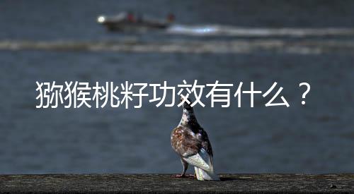 猕猴桃籽功效有什么?