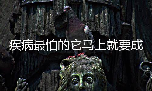 疾病最怕的它马上就要成熟了