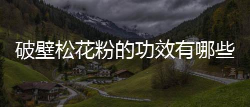 破壁松花粉的功效有哪些呢