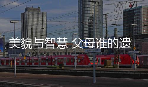 美貌与智慧 父母谁的遗传更大?