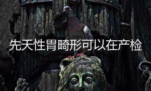 先天性胃畸形可以在产检时查出来吗?