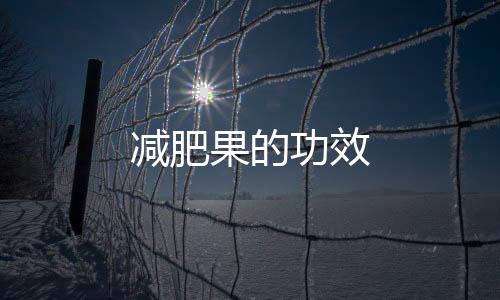 减肥果的功效