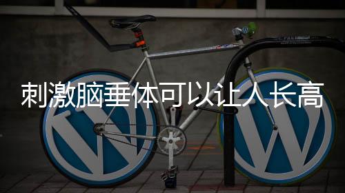 刺激脑垂体可以让人长高吗?