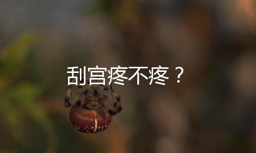 刮宫疼不疼?