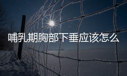 哺乳期胸部下垂应该怎么办?