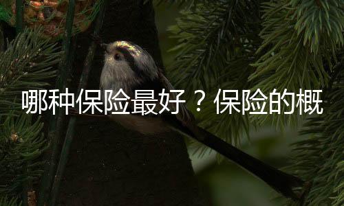 哪种保险最好?保险的概念