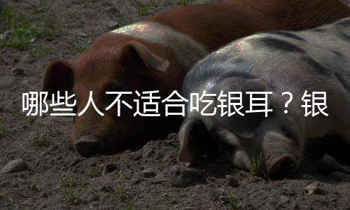 哪些人不适合吃银耳?银耳的副作用有哪些