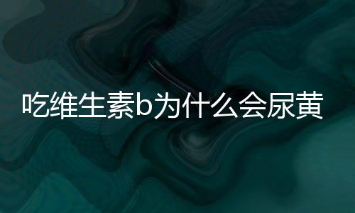 吃维生素b为什么会尿黄