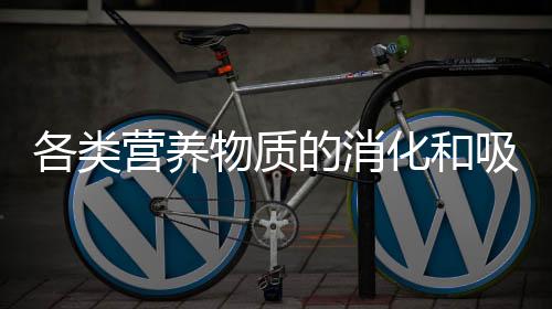 各类营养物质的消化和吸收是怎样的？