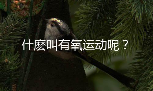 什麽叫有氧运动呢？