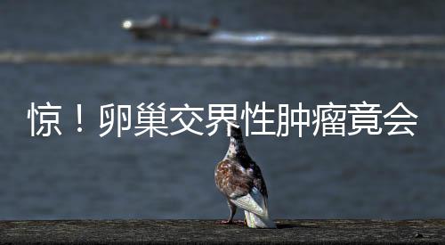 惊!卵巢交界性肿瘤竟会引发一系列的并发症