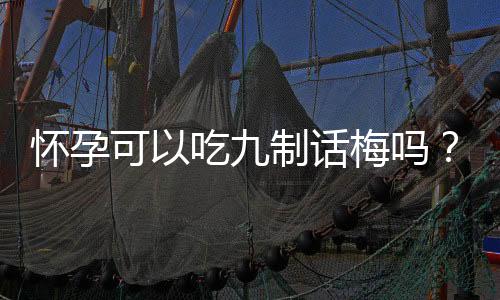怀孕可以吃九制话梅吗?怀孕吃什么比较好