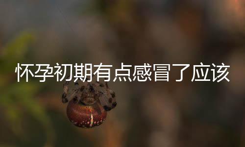 怀孕初期有点感冒了应该怎么?