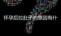 怀孕后拉肚子的原因有什么