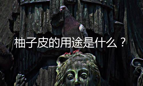 柚子皮的用途是什么?