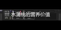 水蒲桃的营养价值