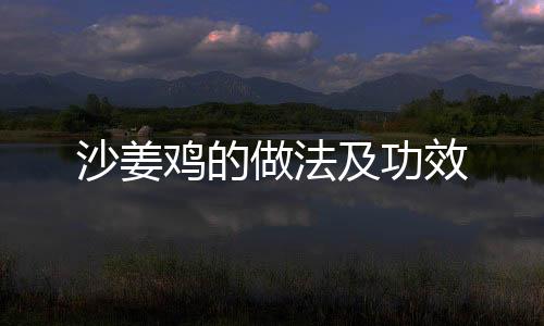 沙姜鸡的做法及功效