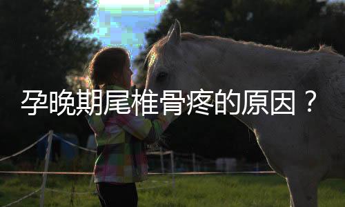 孕晚期尾椎骨疼的原因?