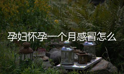 孕妇怀孕一个月感冒怎么办好啊?