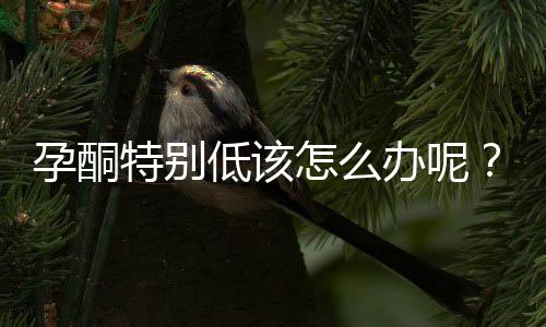 孕酮特别低该怎么办呢?