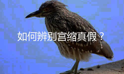 如何辨别宫缩真假?