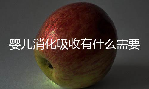 婴儿消化吸收有什么需要注意的?
