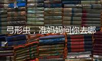 弓形虫，准妈妈问你去哪？
