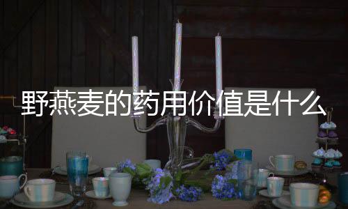 野燕麦的药用价值是什么