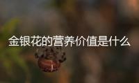 金银花的营养价值是什么