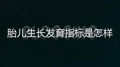 胎儿生长发育指标是怎样的?