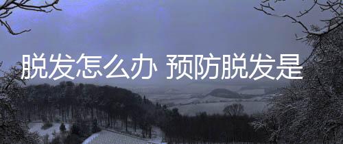 脱发怎么办 预防脱发是什么好?