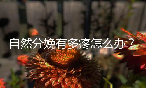 自然分娩有多疼怎么办?