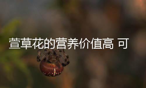 萱草花的营养价值高 可降胆固醇!