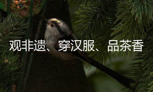观非遗、穿汉服、品茶香！外国青年深度体验岭南文化