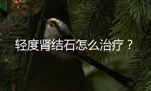 轻度肾结石怎么治疗?