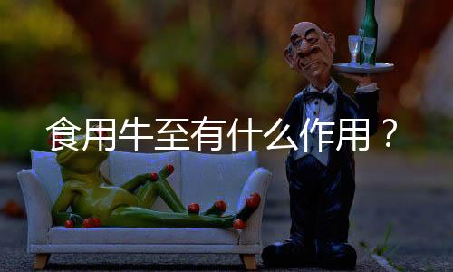 食用牛至有什么作用?