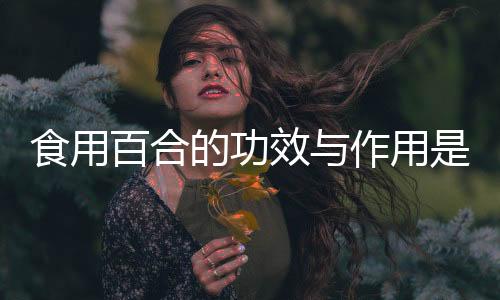 食用百合的功效与作用是什么?