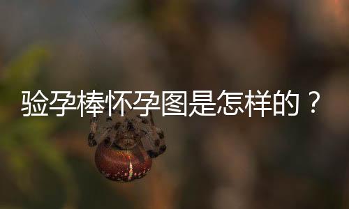 验孕棒怀孕图是怎样的?