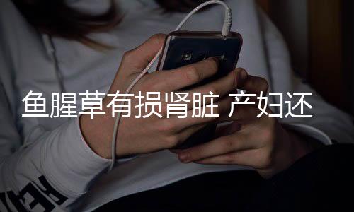 鱼腥草有损肾脏 产妇还能吃吗?