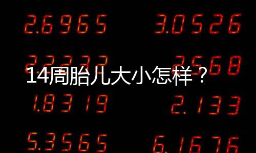 14周胎儿大小怎样?
